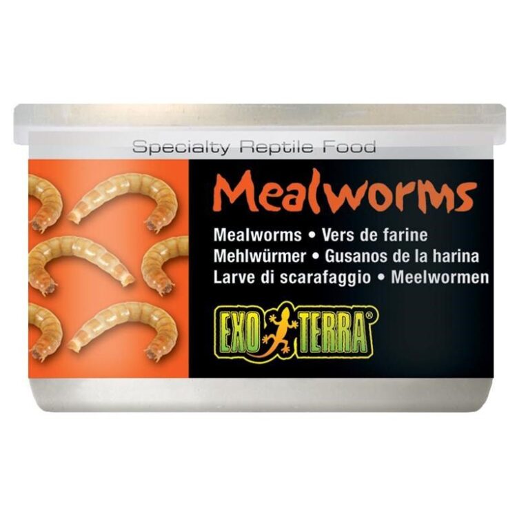 Exo Terra Mealworms 34gr