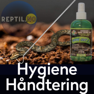 Hygiene-Håndtering reptil