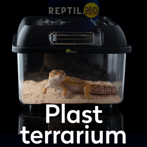 Plast terrarium reptil