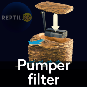 Pumper-filter reptil