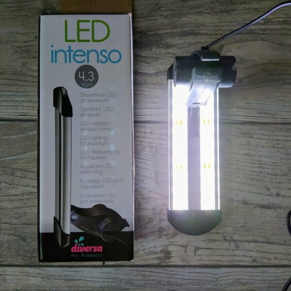 Nano-LED Intenso