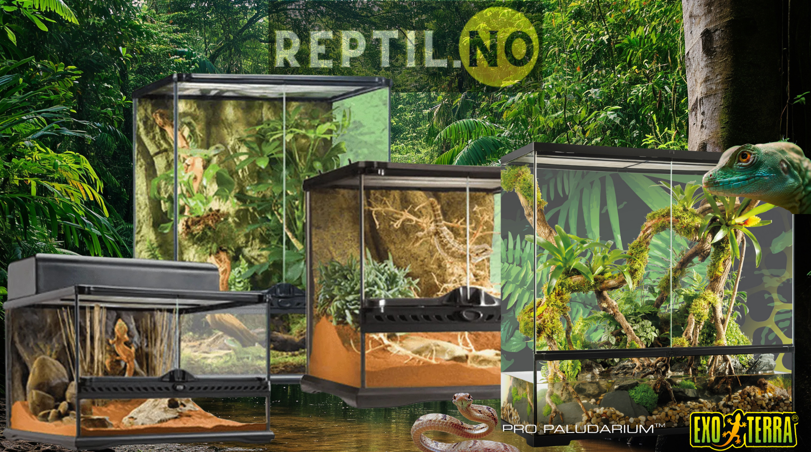 Slik velger du riktig Exo Terra utstyr til ditt terrarium