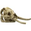 4FISH Kranium 23.5x12x11.8 cm 4FISH Kranium 23.5x12x11.8 cm