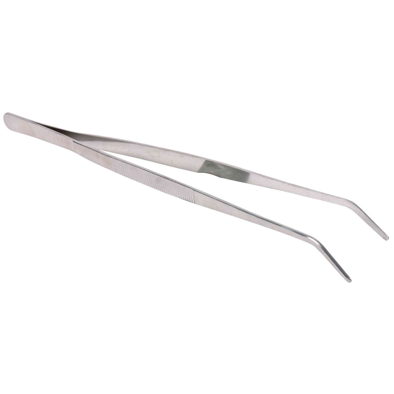 Forpinsett reptil og fugl