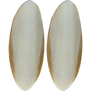 Sepiaskall 12cm 2pk