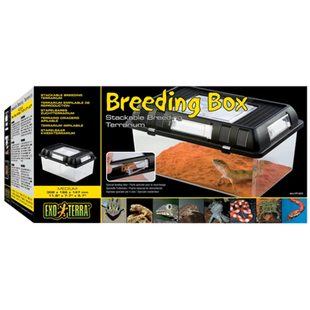 Plast terrarie breeding box