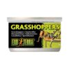 Exo Terra Hermetiserte Gresshopper 34g Exo Terra Hermetiserte Gresshopper 34g