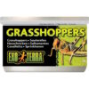 Exo Terra Hermetiserte Gresshopper 34g Exo Terra Hermetiserte Gresshopper 34g