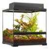 Terrarium Exo Terra Pro Small Wide 45x45x45cm Terrarium Exo Terra Pro Small Wide 45x45x45cm