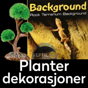 Planter-dekorasjoner